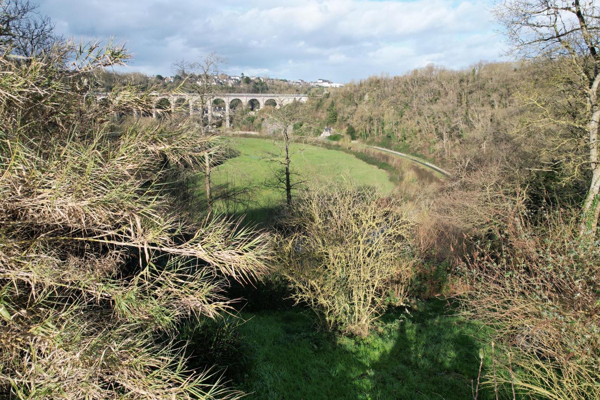 O Bois Dormant- Studio Vue Rance River Et Viaduc De Dinan Lanvallay Exteriér fotografie